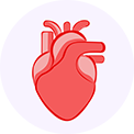 Sistema Cardiovascular